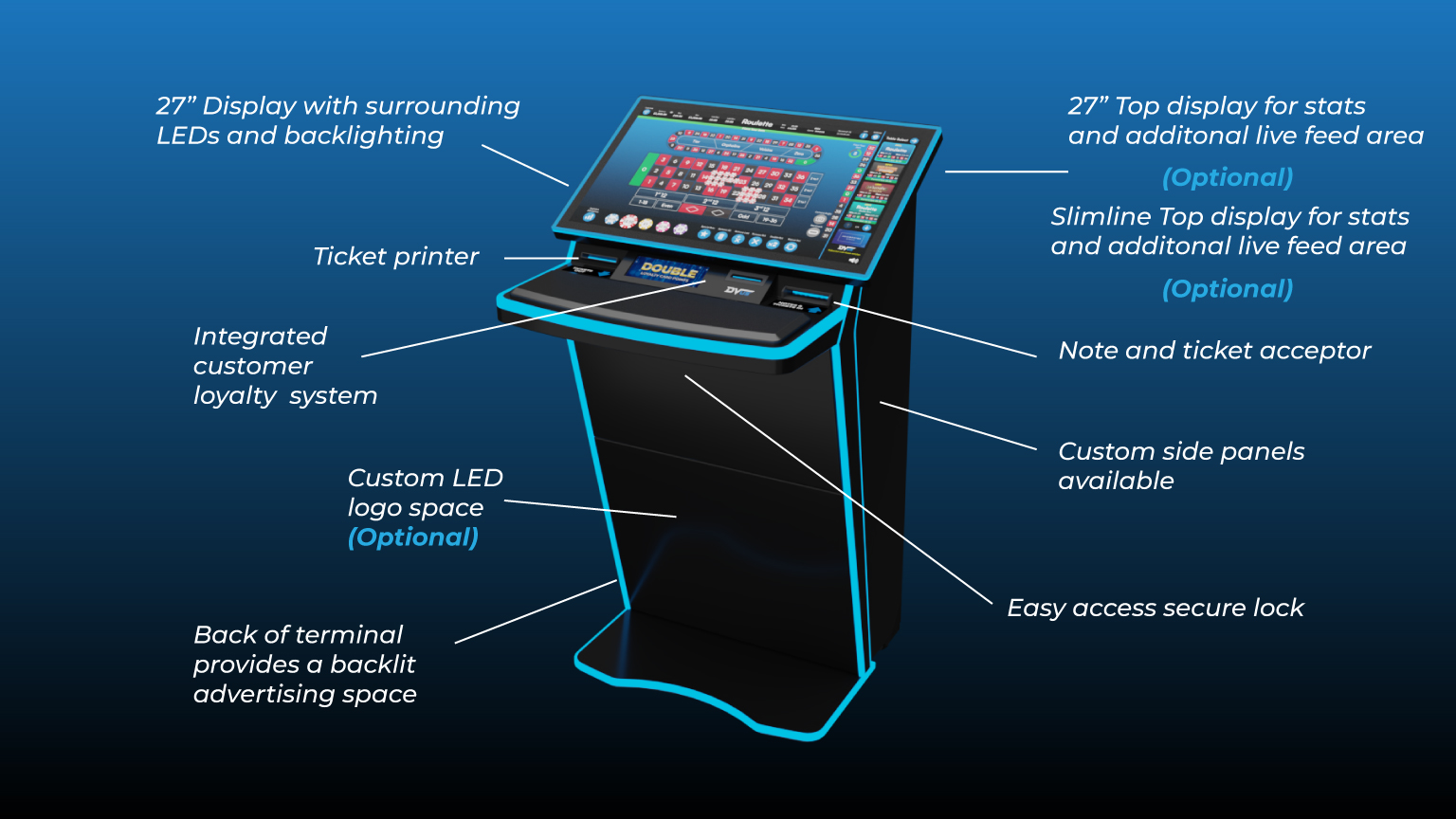 DVus One terminal options